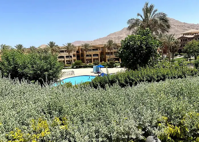 In Porto Sokhna Chalet *
